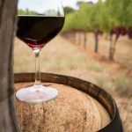 Comprendre l’oenologie : découvrez tous les secrets du vin !